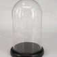 100x160mm Vintage Glass Dome Bell Jar Watch holder With Dark Wooden Base Window Display Lab Use - Maple City Timepieces