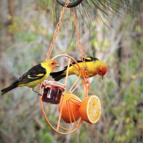 Heath Outdoor Products CF-133 Clementine Oriole Feeder - Maple City Timepieces