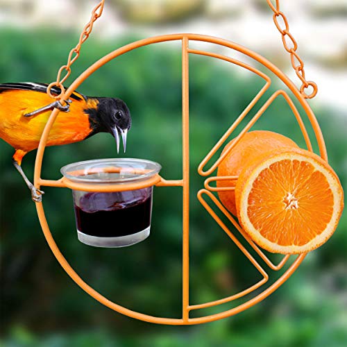 Heath Outdoor Products CF-133 Clementine Oriole Feeder - Maple City Timepieces